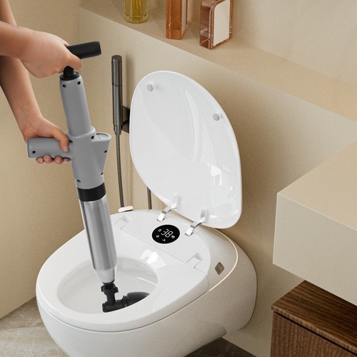Stainless steel toilet - toilet, plunger